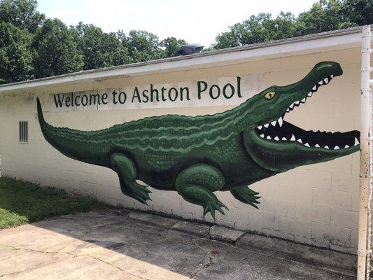 Ashton Swim Club