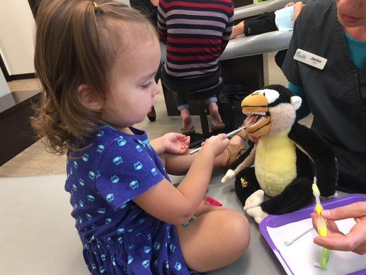 Jackie lets my daughter use the cleaning tools on the monkey's teeth - she loves it!