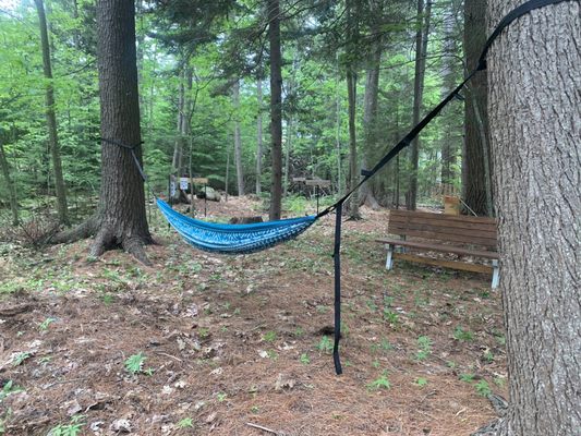 Forest playground