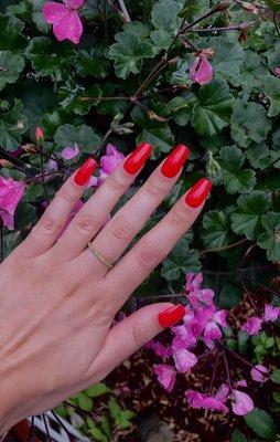 Beautiful red dip nails