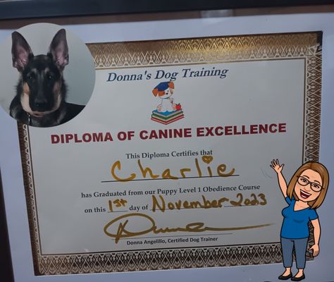 Charlie's certificate