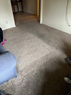 carpet cleaning before and after