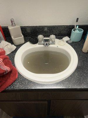 Sludge filling up the bathroom sink for the 5th day after trying to do dishes.