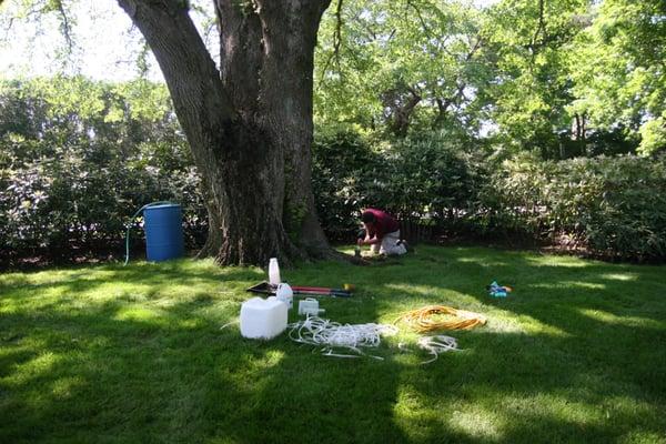 Preparing for a protective Dutch Elm Disease application.