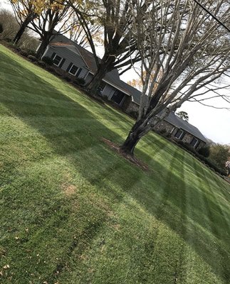 Lawn Maintenance