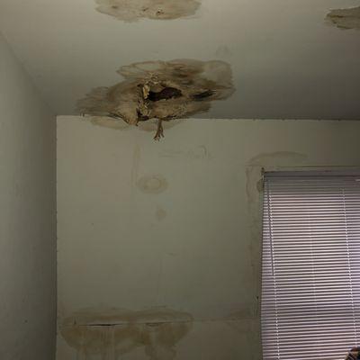 Drywall damage and mold after AMCC managed us for 11 years