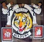 Spears Taekwondo Academy Logo.