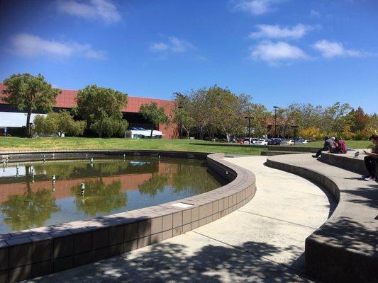 Nice calming area across from the building entrance