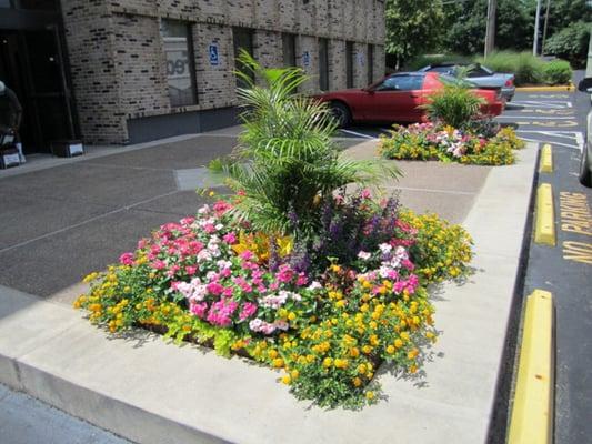 Premier Building Entry Landscaping