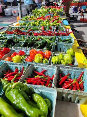 Different types of peppers