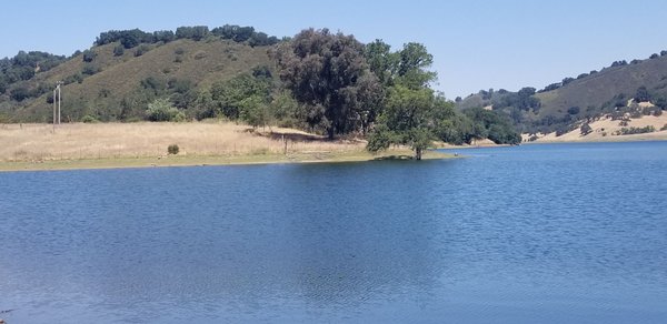 Uvas Reservoir