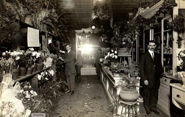 Discover the rich history and journey of florists who have played a pivotal role in shaping the fabric of this remarkable city.