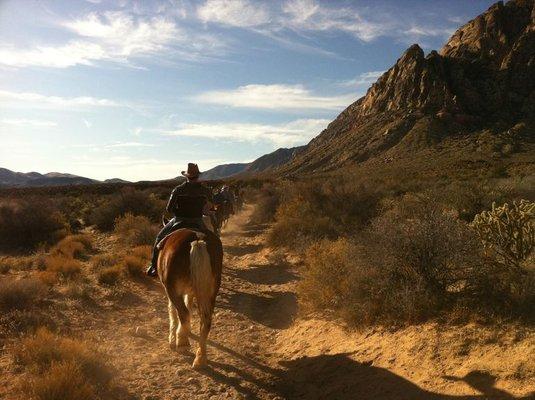 Our staff hits the trails on a horseback ride through the desert