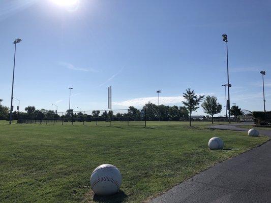 One of the many sports fields at freedom Park