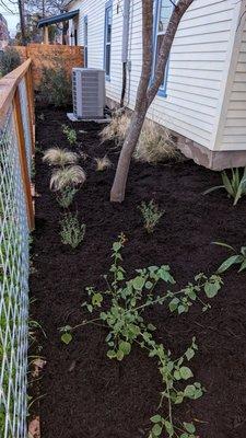 Plant & mulch installation