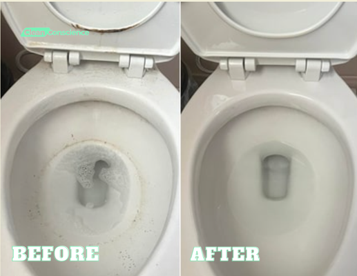 Before & After Toilet Bowl