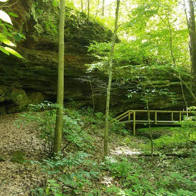 lush foliage at the bottom of the gorge