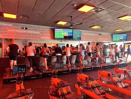 High level equipment, flex deck treadmills. Heart rate based training, heart rate monitored treadmills.