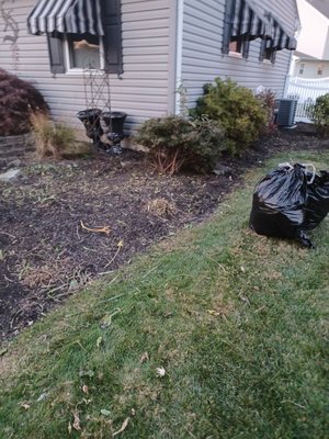 Clean up flower bed