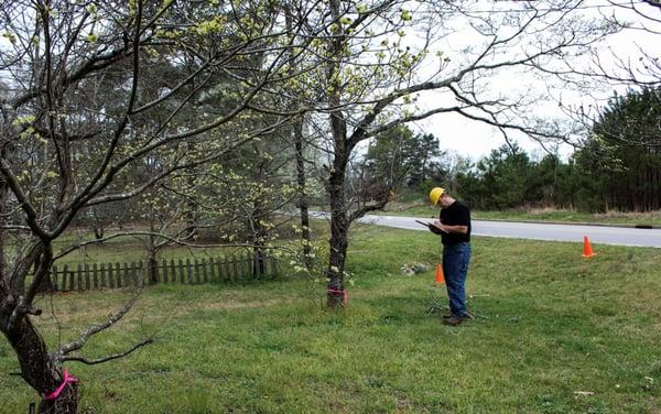 I evaluate every tree before starting work. Safe work and no mistakes are my priorities.