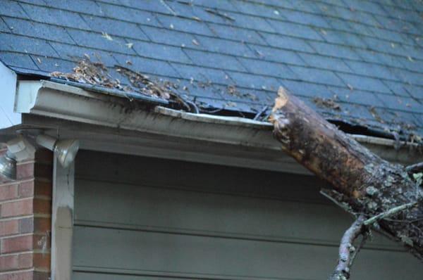 Tree Removal - Storm Damage