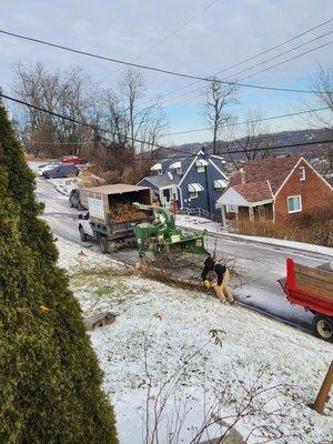 Removal of fallen tree