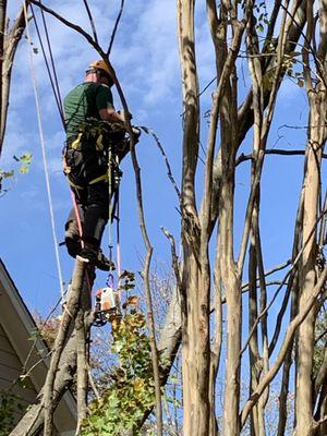 Veteran Landscape and Tree Service