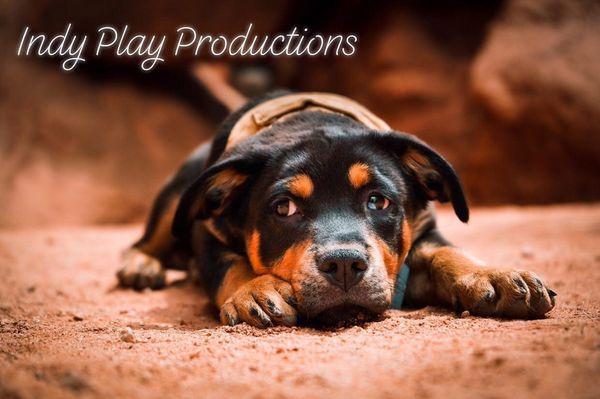 Indy Play Productions