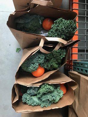 Helping assemble grocery bags with some fresh, donated produce.