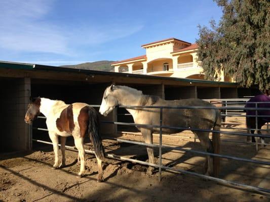 Middle of the Road Ranch