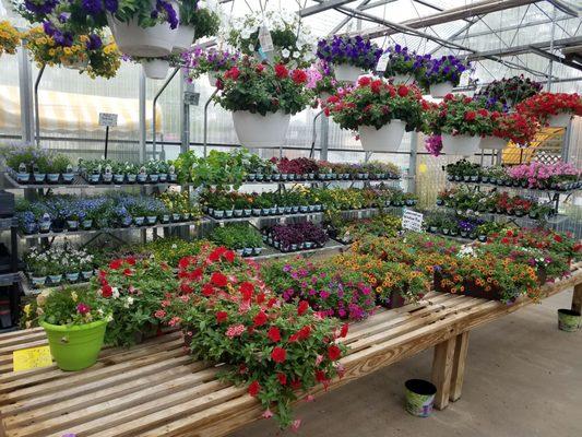 Schuring Retail Greenhouse