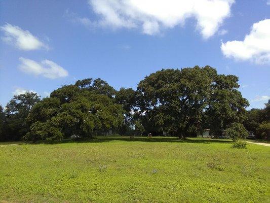 Common area at front of park.