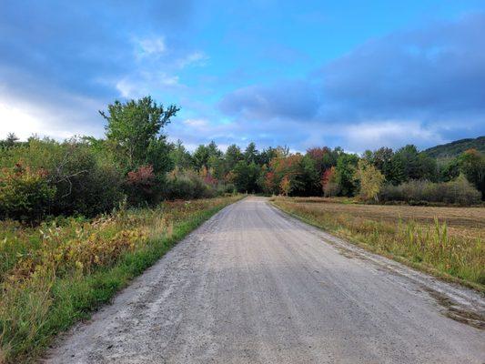 Leaves are just starting to change