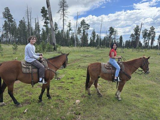 Greer by Horseback