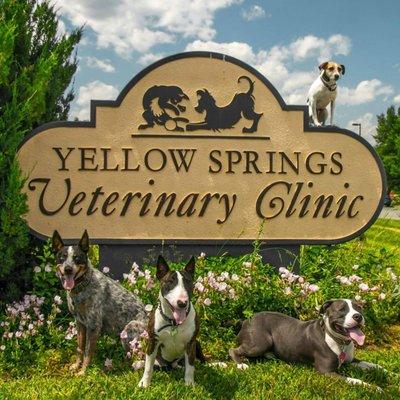 Yellow Springs Veterinary Clinic