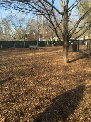 Medway Dog Park -- 302 Village Street @ Junction of Cottage Street, Waltham             Park