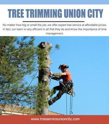 Tree Trimming Union City