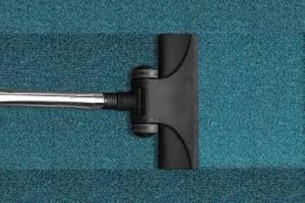 Venice Carpet Cleaning Pros