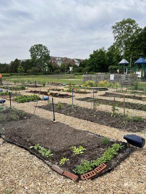 Garden plots