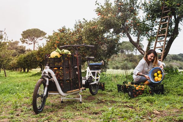 The Electric Supermarche is the perfect gardening tool!