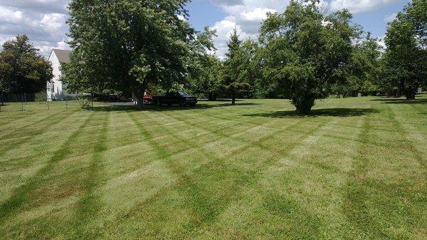 Lawn care in Watertown, NY