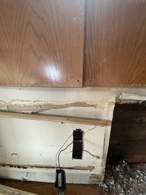 Visual water damage on the wood swelling that lead to mold and active termites