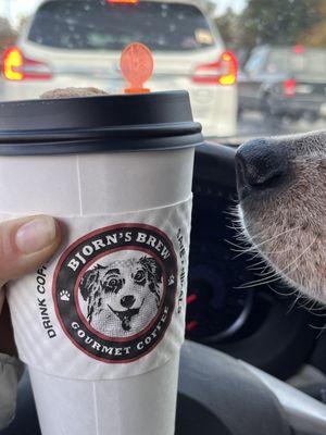 A 16oz coffee with a little cookie!