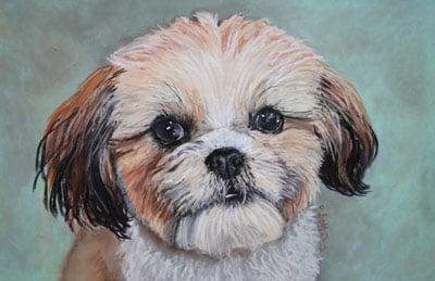 Custom Portraits of your Pet