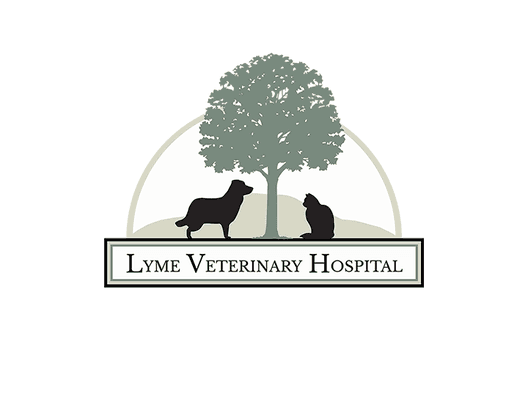 Lyme Veterinary Hospital