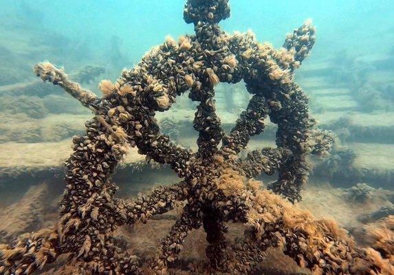 Nicole's shipwreck near Chicago.