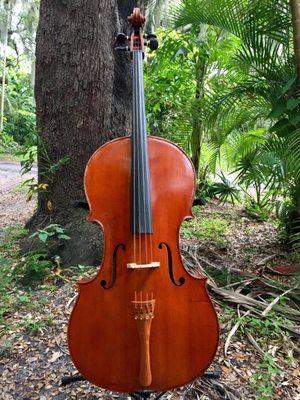 Alfredo Primavera cello for sale!