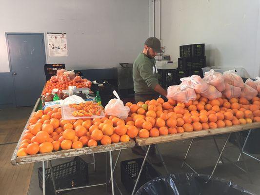 Fresh oranges from the central coast