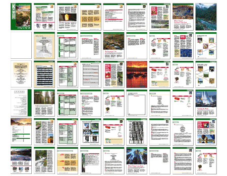 Sample 8.5 x 11" Pages of a 141 Page EEI Education Textbook