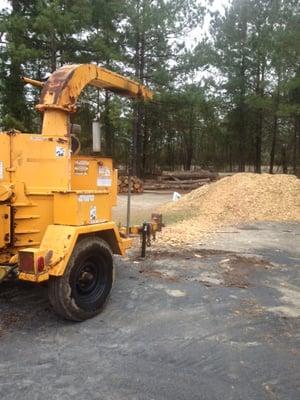 Chipping and stump grinding